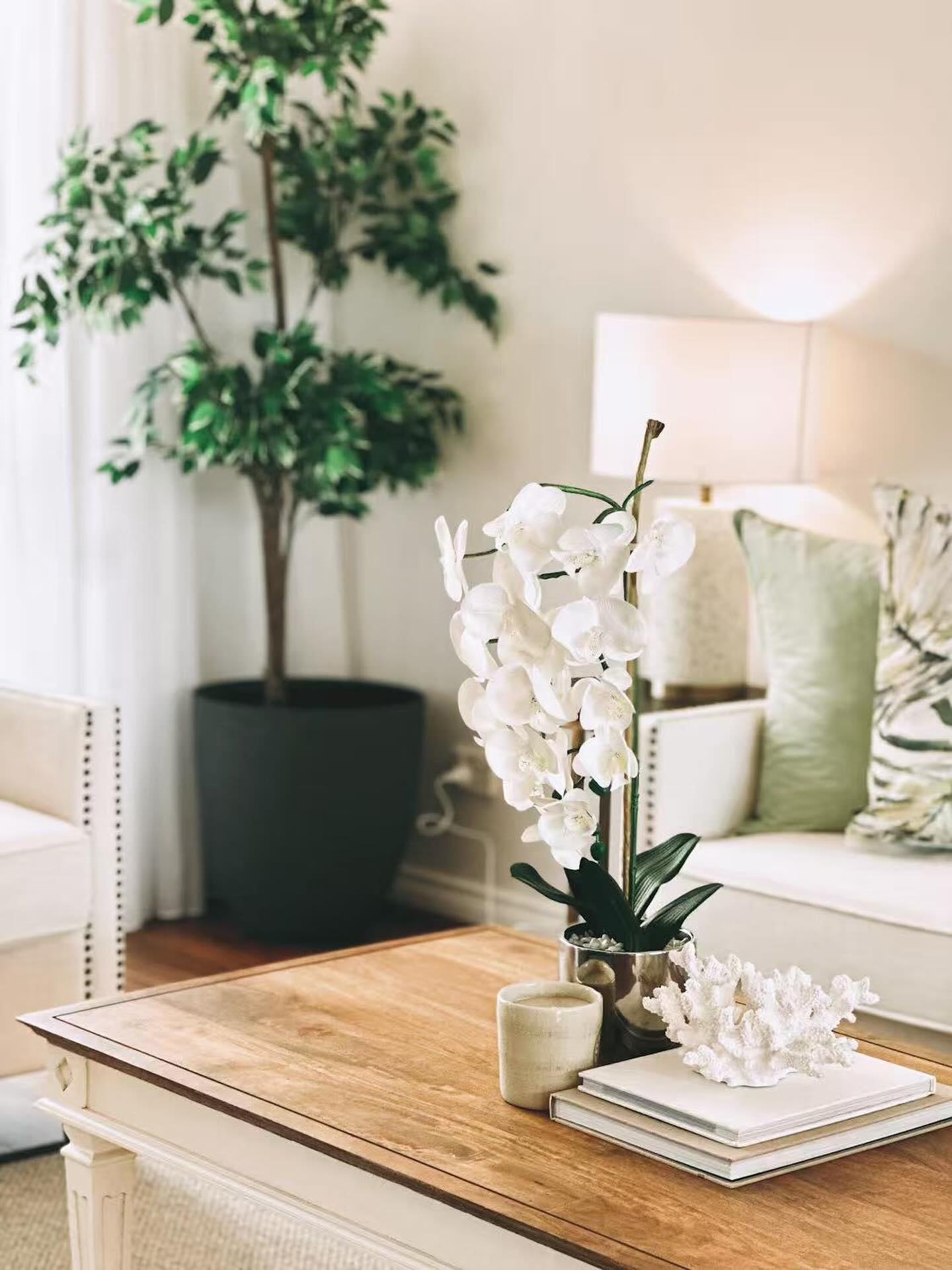 Styling is not decoration ，it’s emotion. 🌿
#CloverPropertyStyling #SydneyHomes #AustralianInteriors #HomeStyling #PropertyStyling #SydneyLife #NeutralHome #CalmSpaces #SoftInteriors #HomeInspo #InteriorMood #DesignDetails #LightAndCalm #WarmMinimalism #everydaybeauty